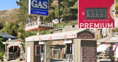 âThey probably could charge $20â